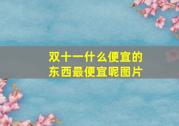 双十一什么便宜的东西最便宜呢图片