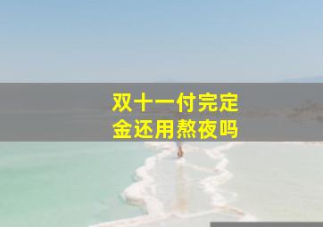 双十一付完定金还用熬夜吗