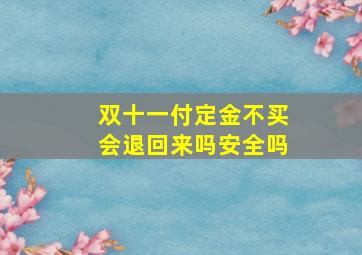 双十一付定金不买会退回来吗安全吗