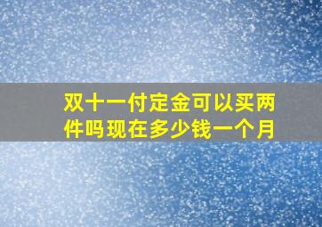 双十一付定金可以买两件吗现在多少钱一个月