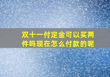 双十一付定金可以买两件吗现在怎么付款的呢