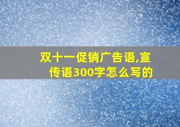 双十一促销广告语,宣传语300字怎么写的