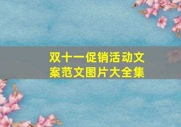 双十一促销活动文案范文图片大全集