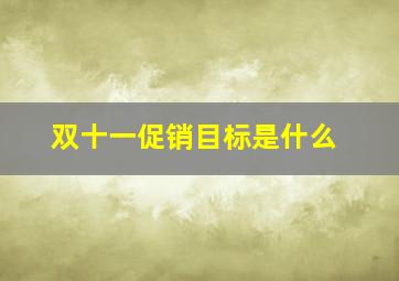 双十一促销目标是什么