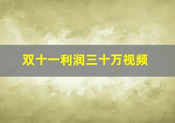 双十一利润三十万视频