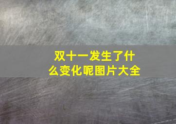 双十一发生了什么变化呢图片大全