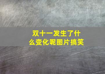 双十一发生了什么变化呢图片搞笑