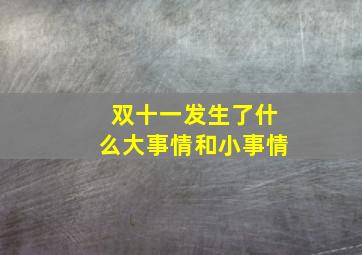 双十一发生了什么大事情和小事情