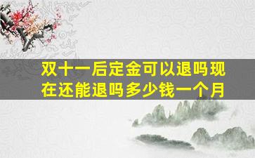 双十一后定金可以退吗现在还能退吗多少钱一个月