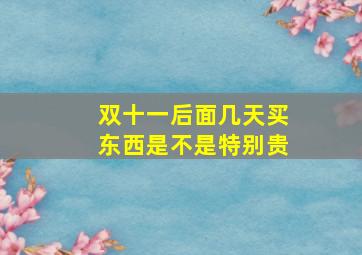 双十一后面几天买东西是不是特别贵