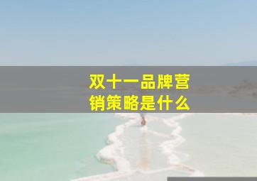 双十一品牌营销策略是什么