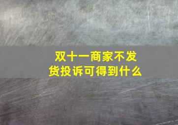 双十一商家不发货投诉可得到什么