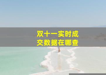 双十一实时成交数据在哪查