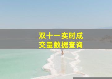 双十一实时成交量数据查询