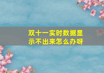 双十一实时数据显示不出来怎么办呀