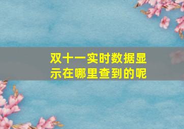 双十一实时数据显示在哪里查到的呢