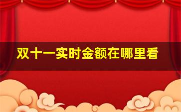 双十一实时金额在哪里看