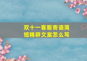 双十一客服寄语简短精辟文案怎么写