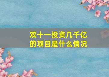 双十一投资几千亿的项目是什么情况