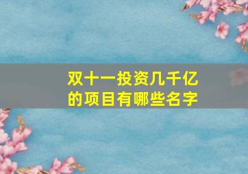 双十一投资几千亿的项目有哪些名字