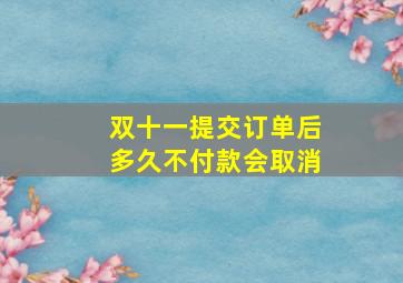 双十一提交订单后多久不付款会取消