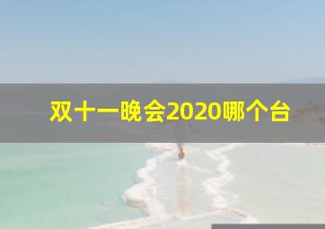 双十一晚会2020哪个台