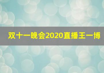 双十一晚会2020直播王一博