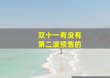 双十一有没有第二波预售的