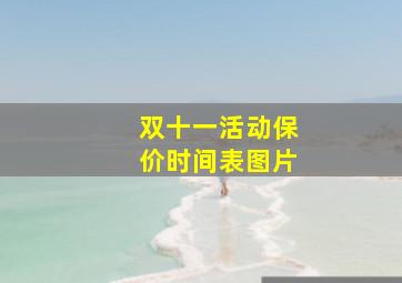 双十一活动保价时间表图片