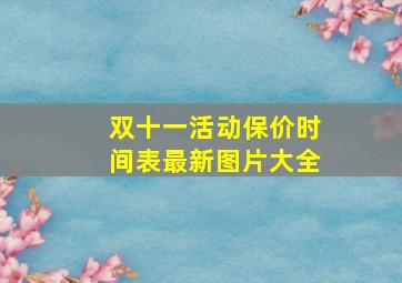 双十一活动保价时间表最新图片大全