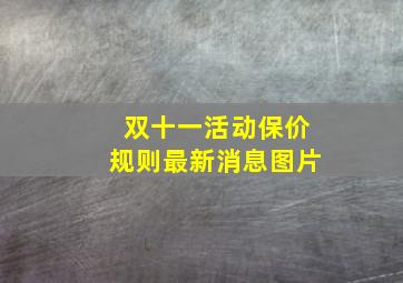 双十一活动保价规则最新消息图片