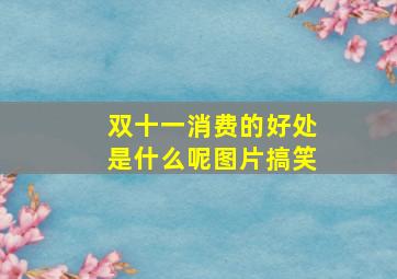 双十一消费的好处是什么呢图片搞笑