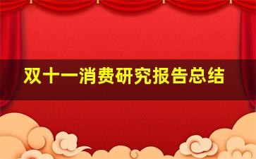 双十一消费研究报告总结