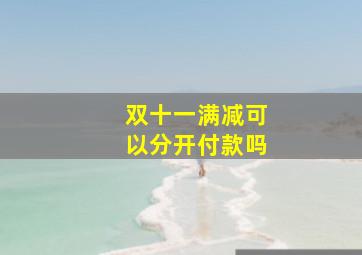 双十一满减可以分开付款吗