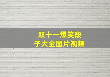 双十一爆笑段子大全图片视频