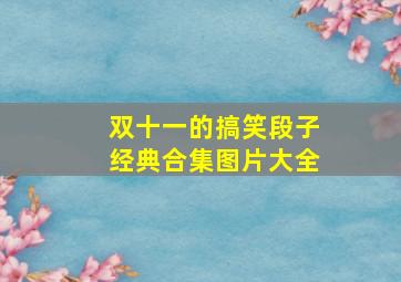 双十一的搞笑段子经典合集图片大全