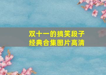 双十一的搞笑段子经典合集图片高清