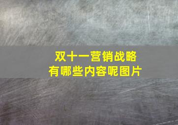 双十一营销战略有哪些内容呢图片