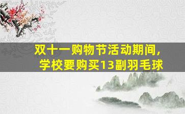 双十一购物节活动期间,学校要购买13副羽毛球