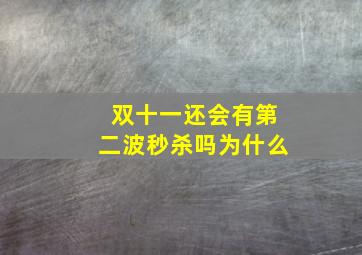 双十一还会有第二波秒杀吗为什么