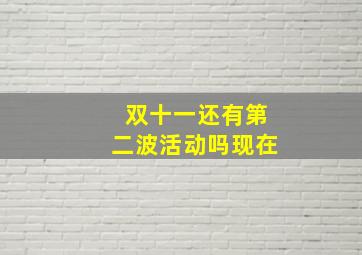 双十一还有第二波活动吗现在