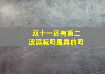 双十一还有第二波满减吗是真的吗