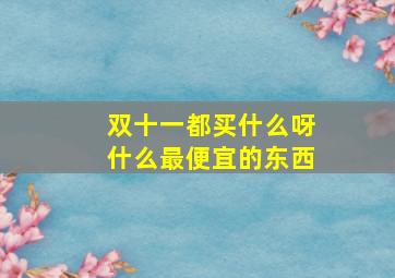 双十一都买什么呀什么最便宜的东西