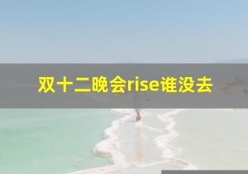 双十二晚会rise谁没去