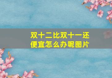 双十二比双十一还便宜怎么办呢图片