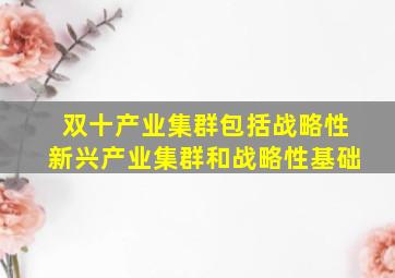 双十产业集群包括战略性新兴产业集群和战略性基础