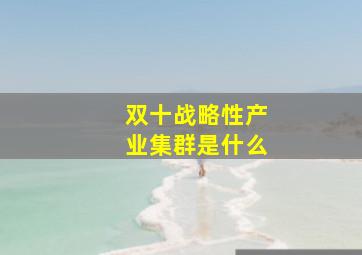 双十战略性产业集群是什么