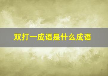 双打一成语是什么成语