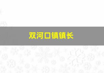 双河口镇镇长