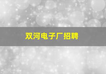 双河电子厂招聘